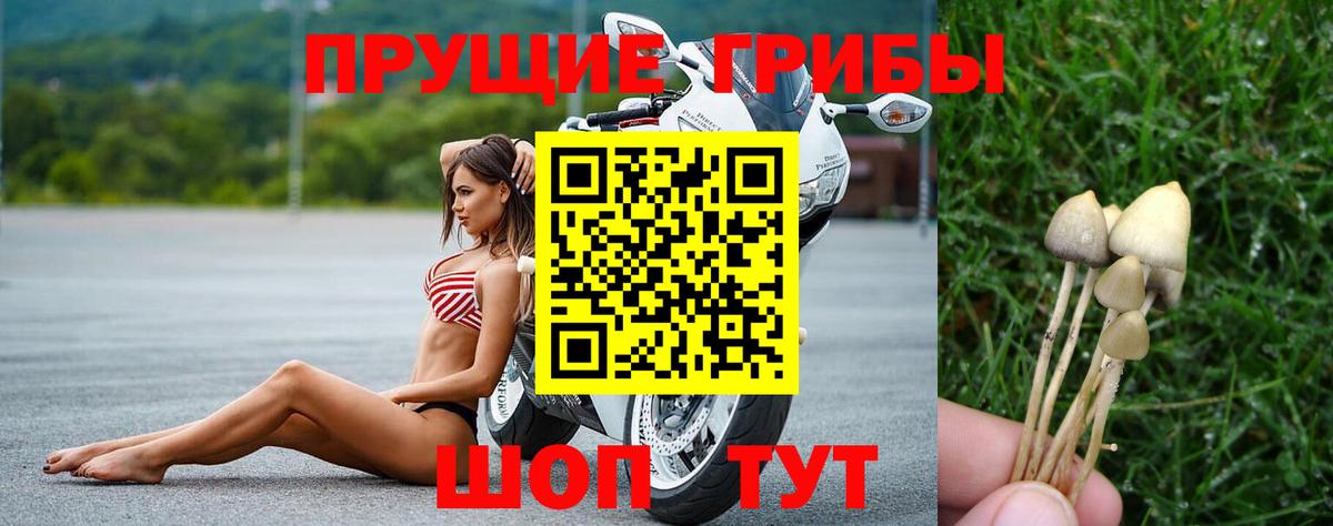 Когалым  Галлюциногенные грибы Psilocybe  Вход с VPN  Галлюциногенные грибы Psilocybine cubensis 