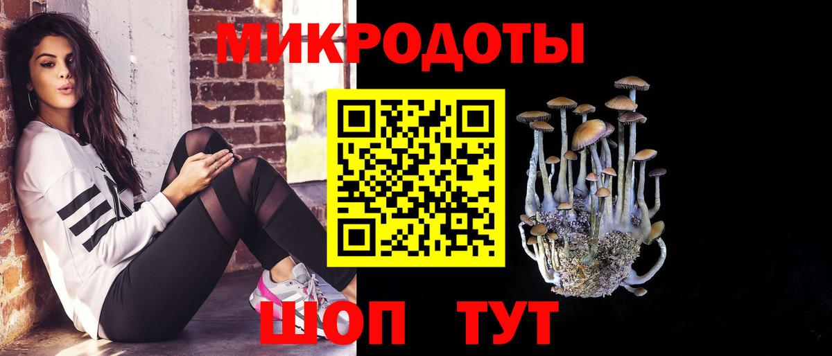 Псилоцибиновые грибы Cubensis Когалым